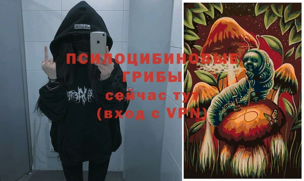 а пвп мука Корсаков
