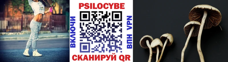 Псилоцибиновые грибы Magic Shrooms  Купить закладки  Амурск 